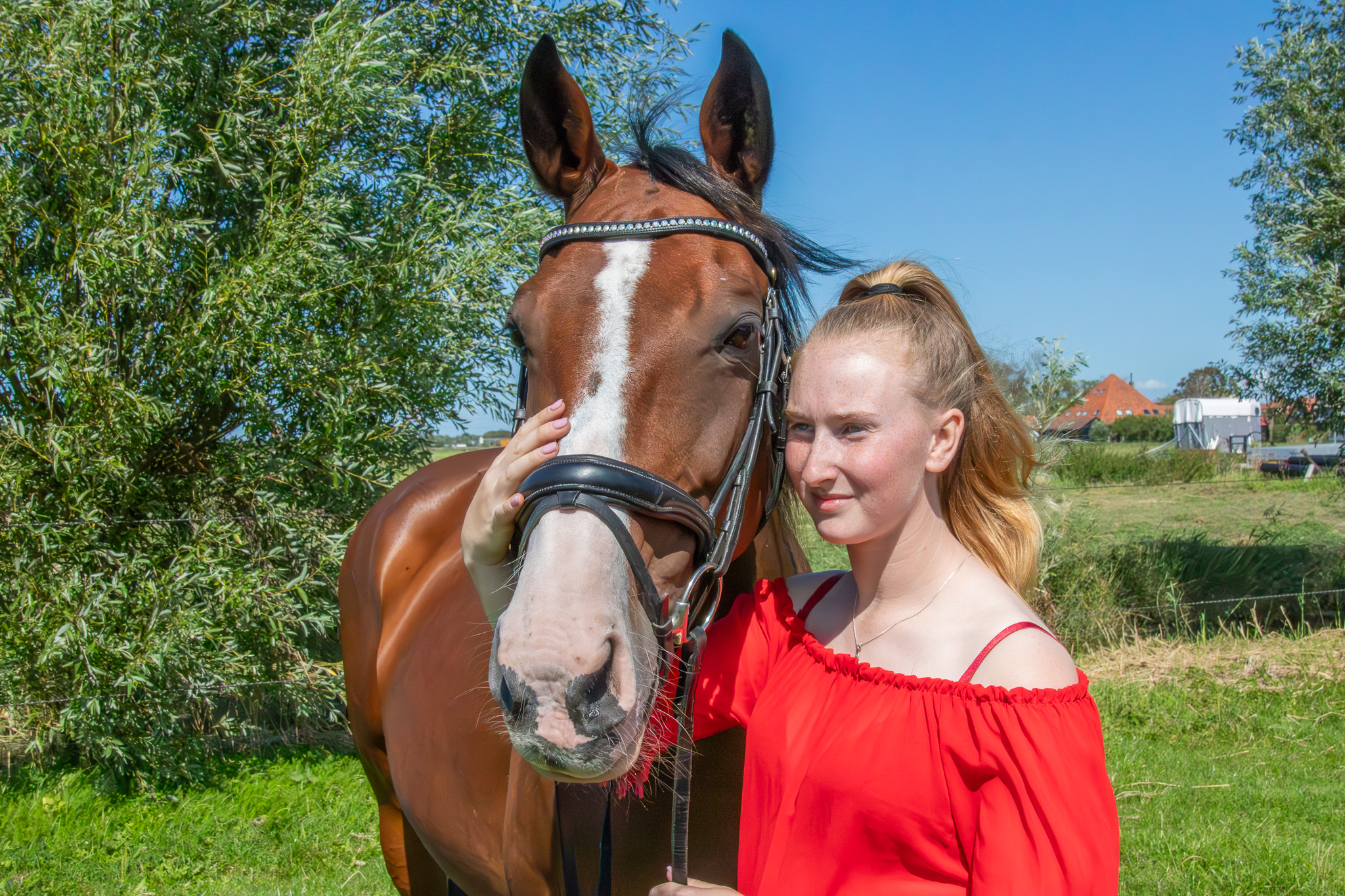 Fotoshoot met paard