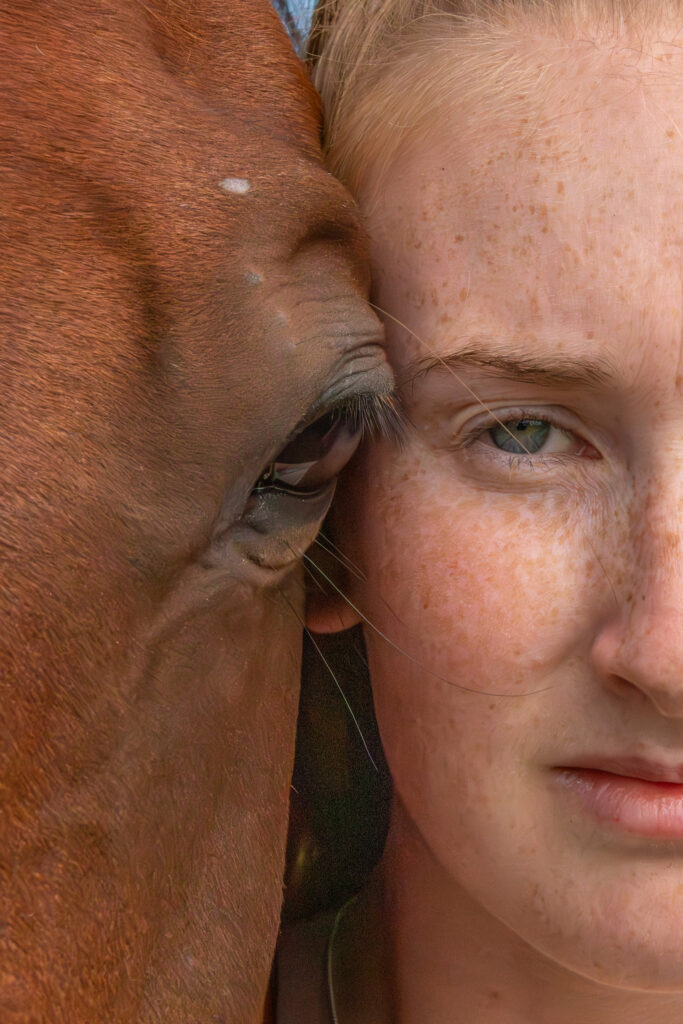 Fotoshoot met paard